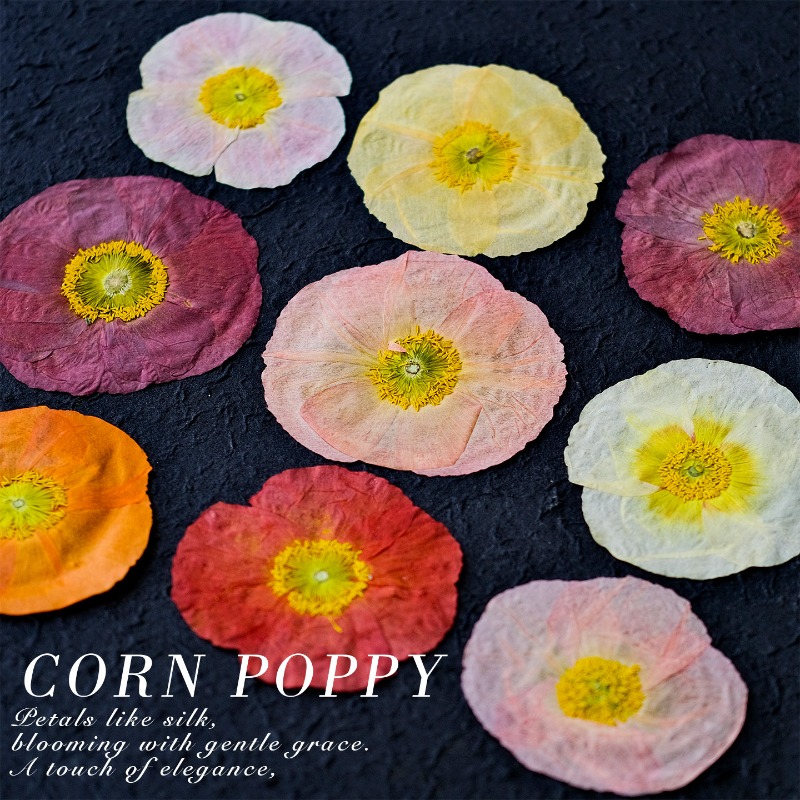 1pcs,Nature Field Poppy Presse - Resin Art Photo Frame ulasan dan harga