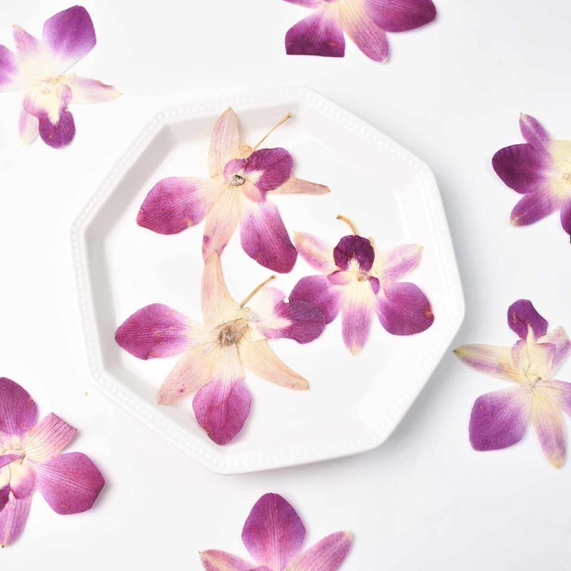 4pcs,Real Pressed Butterfly Or - Resin Art Photo Frame ulasan dan harga
