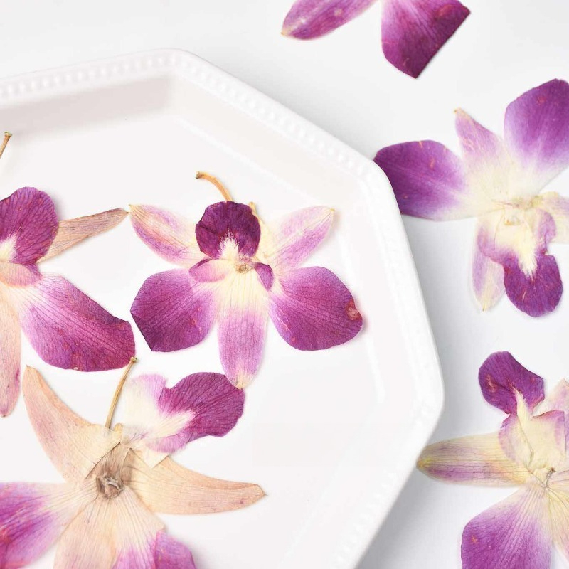 4pcs,Real Pressed Butterfly Or - Resin Art Photo Frame ulasan dan harga
