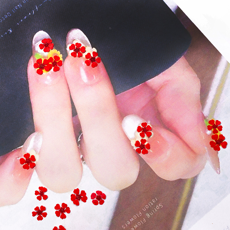 96Pcs Mini 1.5cm Natural Press - Resin Art Photo Frame ulasan dan harga