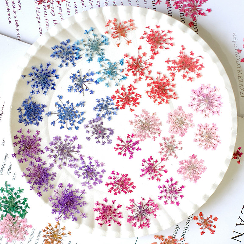 24pcs, 2-2.5cm, Nature Dyed Mi - Resin Art Photo Frame ulasan dan harga