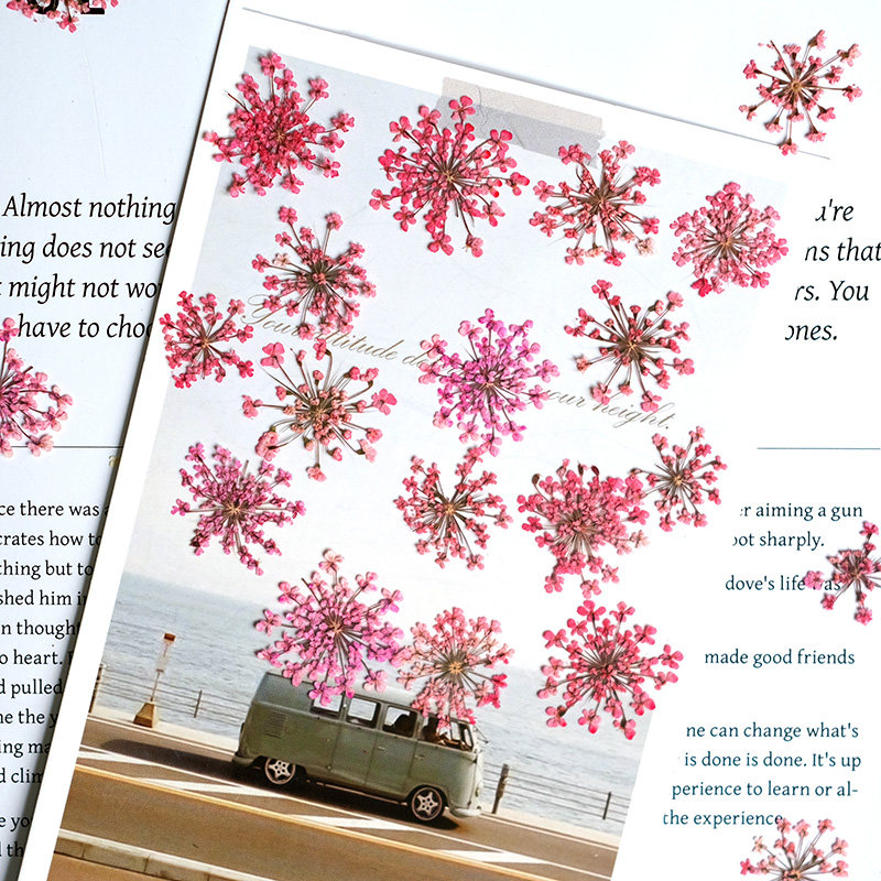 24pcs, 2-2.5cm, Nature Dyed Mi - Resin Art Photo Frame ulasan dan harga