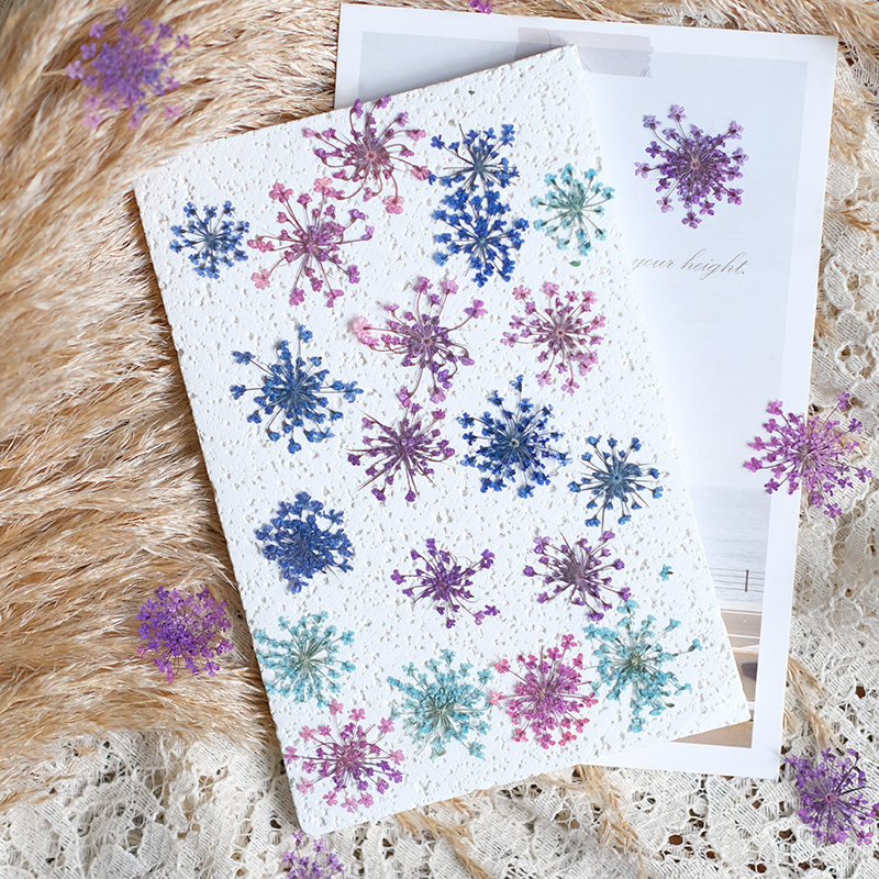 24pcs, 2-2.5cm, Nature Dyed Mi - Resin Art Photo Frame ulasan dan harga